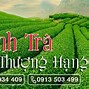 Công Ty An Thái Bảo Lộc