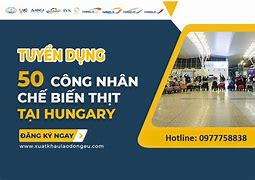 Cty Xkld Vov Tuyển Dụng 2024 Online Payment Link Online