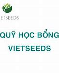 Học Bổng Vietseeds 2021 Là Gì Ạ Không