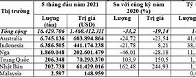 Nhập Khẩu Than Đá Năm 2021 Tại Việt Nam