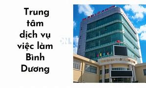 Trung Tâm Rồng Việt Ở Bình Dương