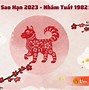 Tuổi Tuất 1982 Năm 2023